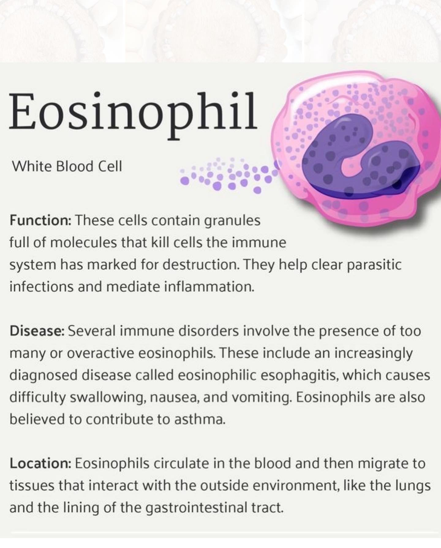 Bracelets for a Change: Eosinophilic Bracelet